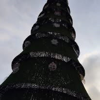 Árbol navideño en excursión